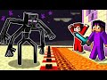Mutant Enderman vs Most Secure END HOUSE! (Minecraft)
