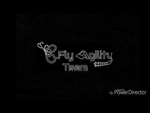 B.Fly Agility Team