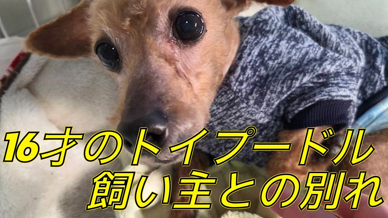 僕はまだ生きたいよ