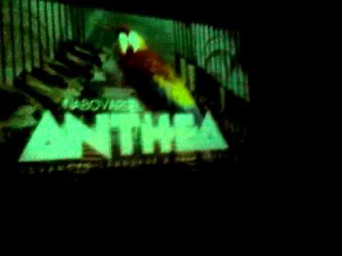 anthea @ Nabovarsel 2010