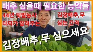 김장배추,김장무 심을때 필요한 농약들 김장배추파종 김장무파종 김장무심는시기  김장배추심는시기