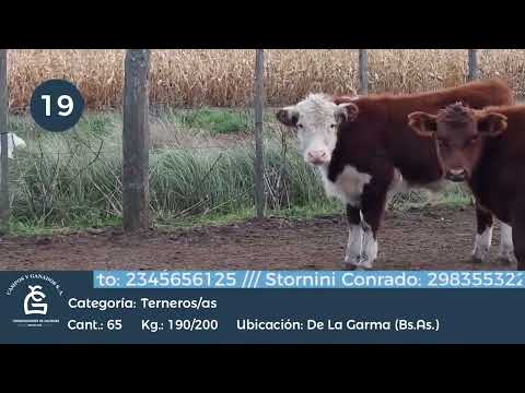 Lote M Y H - De la Garma Bs As