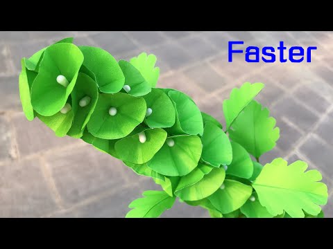 ABC TV | How To Make Bells Of Ireland Paper Flower | Flower Die Cuts (Faster) - Craft Tutorial