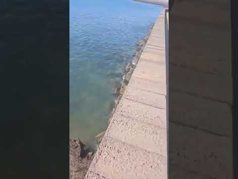 Se cierra la Playa del Reducto