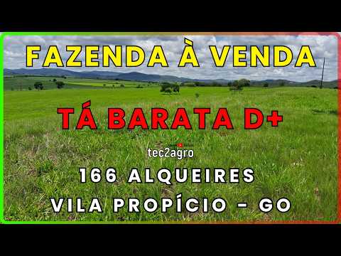 🌱 166 ALQUEIRES EM VILA PROPÍCIO - GO | FAZENDA À VENDA EM GOIÁS #fazenda #tec2agro #agro