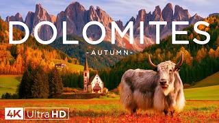 Dolomites Autumn 4K 🍁 September Alpine Glow 🍂 Crimson Larches, Stone Peaks & Soft Piano Ambience