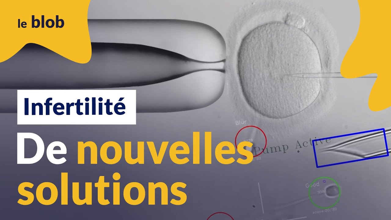 Fertiline, IA et microrobotique  : des innovations prometteuses contre l’infertilité | Reportage