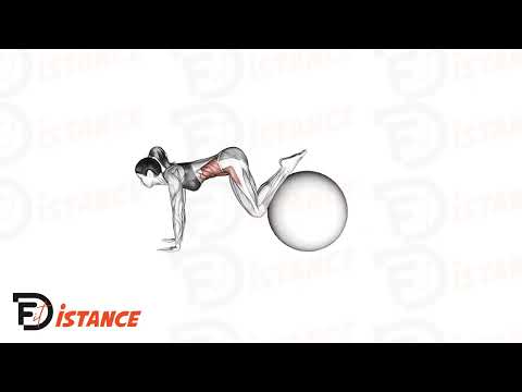 Exercice Jack Knife sur Swiss Ball