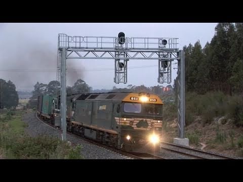 G511-X37 Hearnes Oak Sat 11/03/07