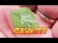 How to Combat Leaf Miners in your Garden! (They ...