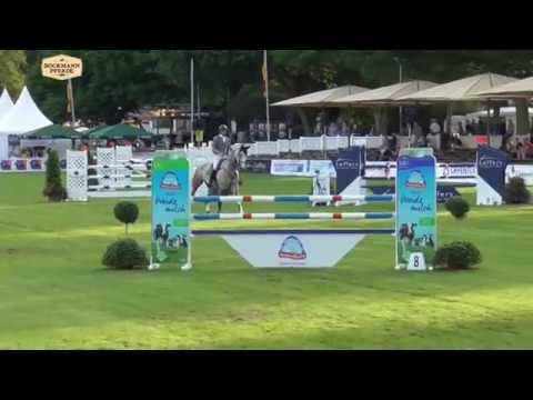 "Cheeky Monkey" - 5 j. Wallach v. Christian x Kolibri - Rastede 2017