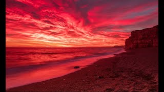 The Woodland Chronicles Week 32 – Truth and Division