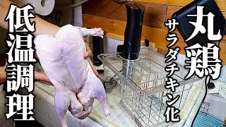丸鶏解体して中華製低温調理器にブチこんでサラダチキン化してみた【beemyi】