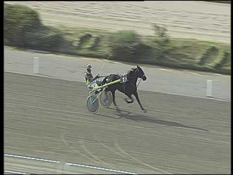 Trotto 02/06/2016 - prova di qualifica