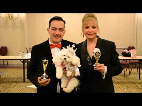 The New York Pet Fashion Show - Behind The Scenes with Anthony Rubio