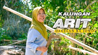 Download lagu 265 mp3 Download lagu 265 mp3