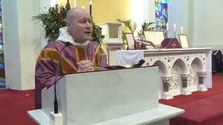 Fr. David Jones - 21st December 2014, on Noise