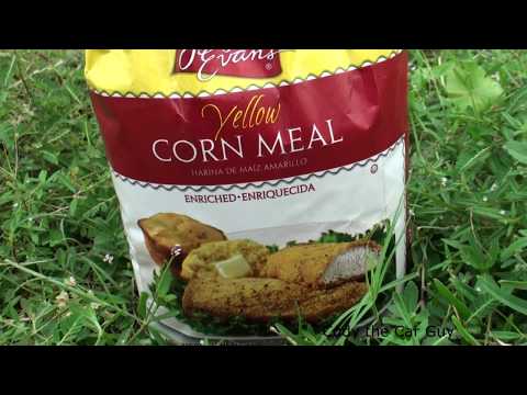 download lagu mp3 mp4 Will Cornmeal Really Kill Ants, download lagu Will Cornmeal Really Kill Ants gratis, unduh video klip Will Cornmeal Really Kill Ants