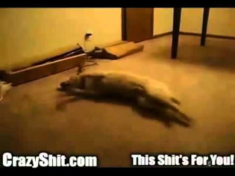 BetoChambergo’s Video 122367258332 IijMPghdorY