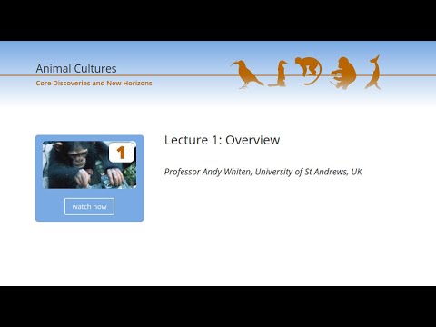 Animal Cultures : Lecture 01 : Overview