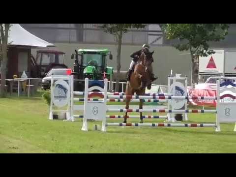 5j. Holsteiner Stute von New Quidam