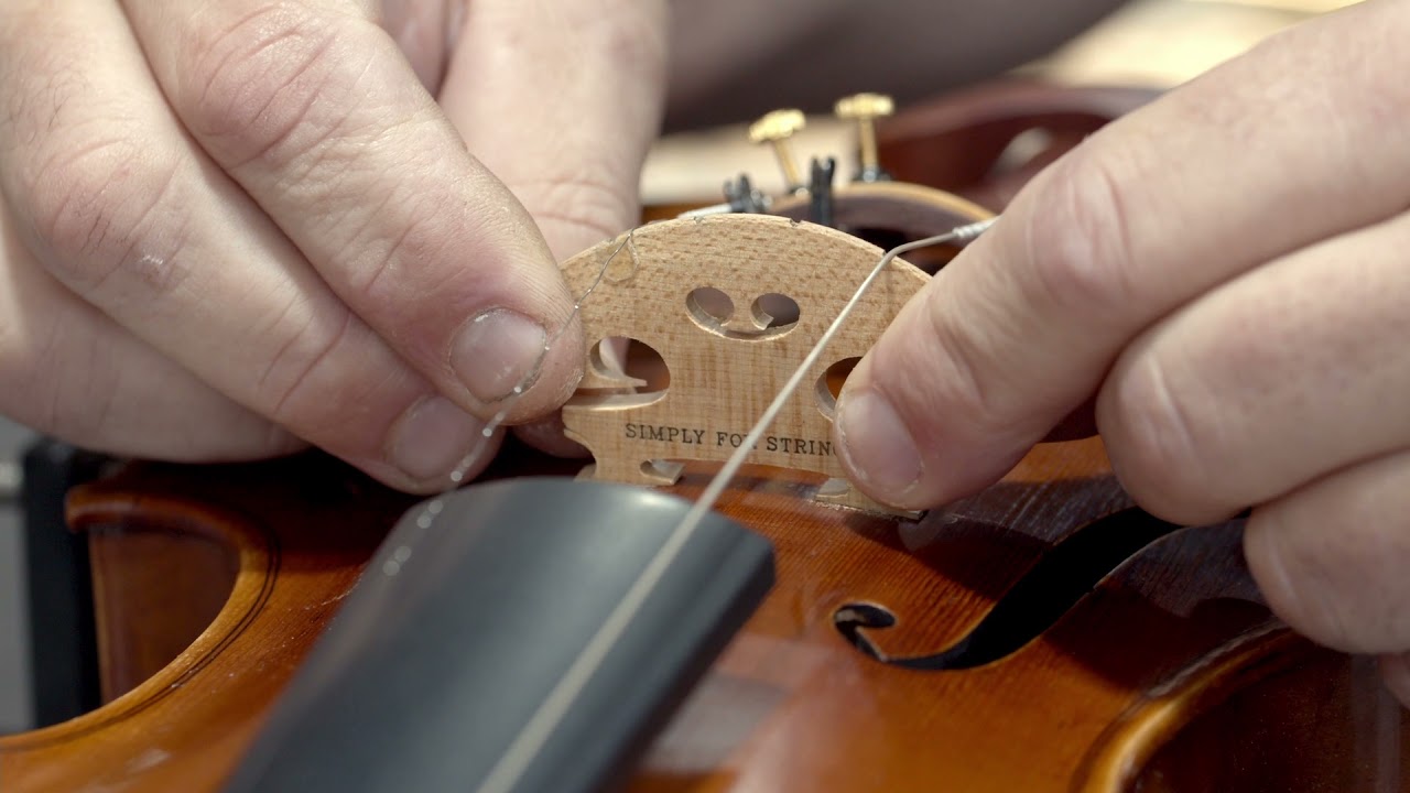 Simply for Strings - Your Home for Quality String Instruments