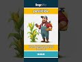 pesticide (noun) - definition and usage in English