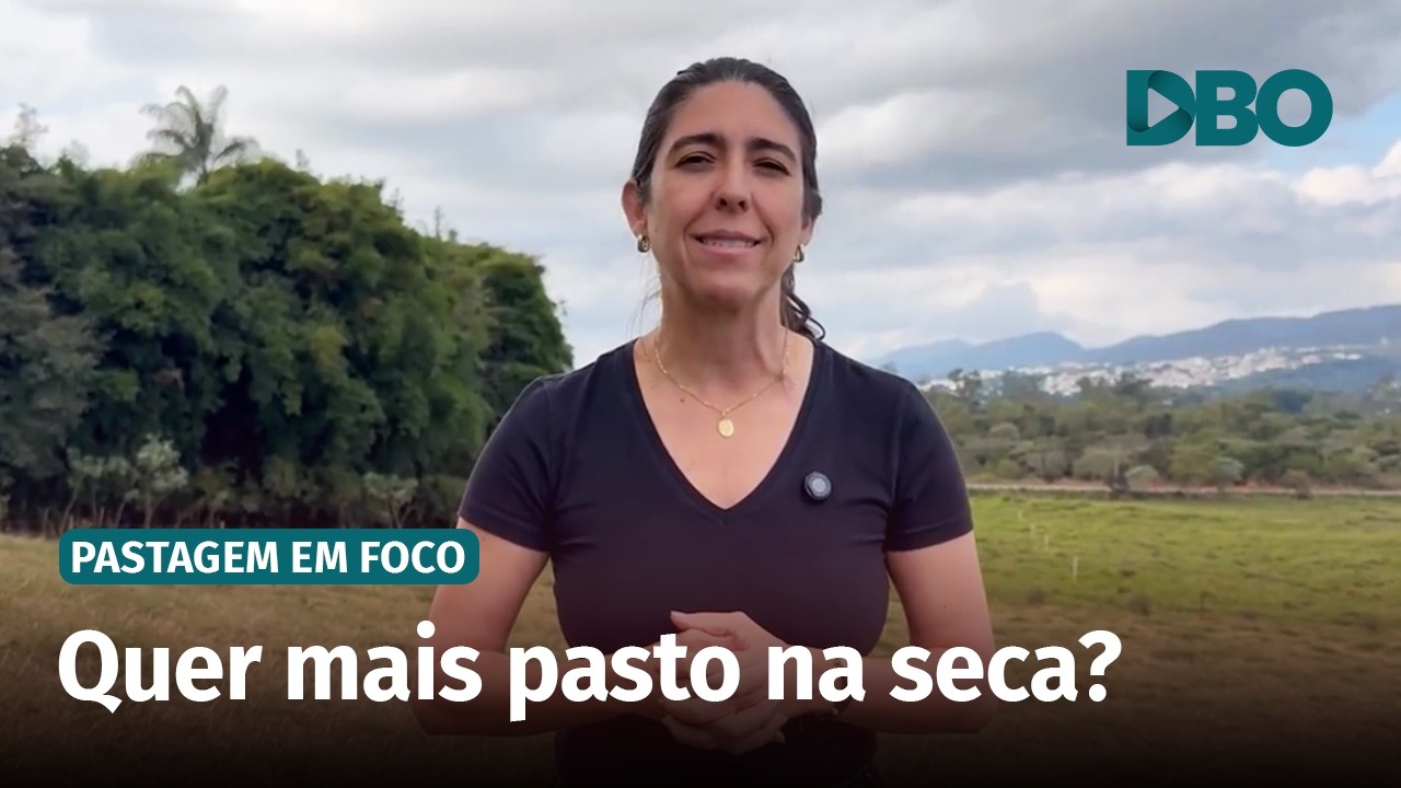 Diferimento de pastagens: 5 passos para garantir pasto na seca