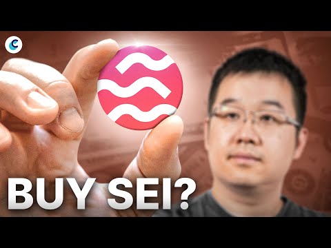 Time to Buy $SEI? What You NEED to Know!