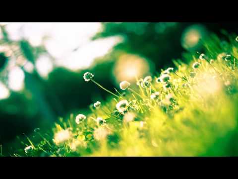 Mossy - Beautiful (Lessov Remix) [FREE]
