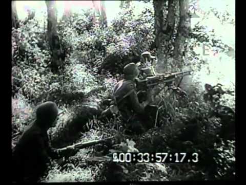 On the Smolensk battle front. The advance of German troops beyond the Stalin Line