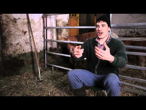 Kultur braucht Kritik - Episode 1