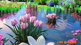 THIS IS MY SONG Andy Williams