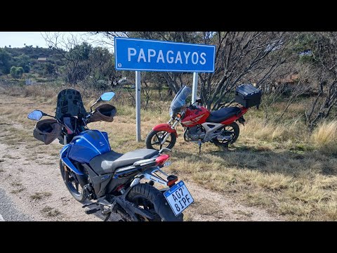 PAPAGAYOS EN INVIERNO !!!