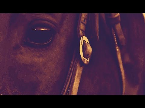 Riding a Legend - Sherry Cervi