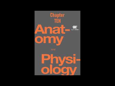 OpenStax Anatomy And Physiology Audiobook Chapter 10 - Read Along