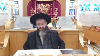 פירות הדר כעת יש בהם קדושת שביעית ? מורשת אבות י"ז התשפ"ג