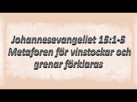 Utforskning av Johannes 15:1-5 - Vinrankan och Grenarnas Metafor