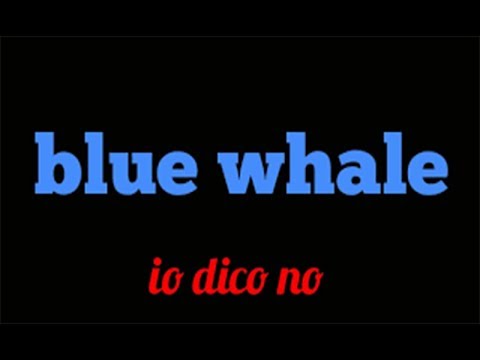 Blue Whale Challenge!! - NON FATELO!!