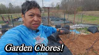 BIG Garden Clean Up Day 3 Amending Soil and Sowing Seeds!