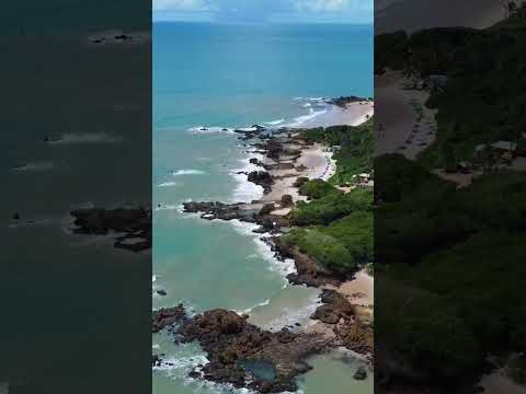 Falésias - Praia de Arapuca, município de Conde - PB #bloodymary #falésias #praia #paraiba