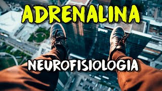Adrenalina e Noradrenalina