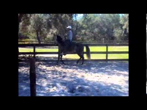 La Vallenata (FOR SALE)