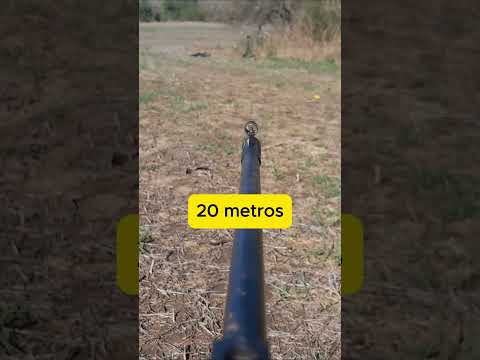 Aire COMPRIMIDO FOX cazador 5.5 - prueba de distancia y precisión- airgun test #caza #pesca