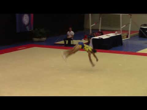 Alexander Shatilov ISR FX - Open Israeli Championships 2019