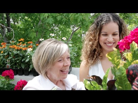 A G&F Extra: Container Gardening with On The Ledge Landscaping