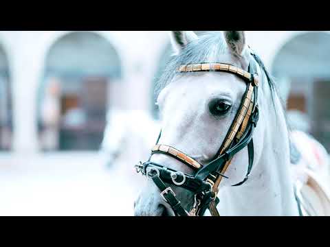 Operation Cowboy - A Glenn Rawson Story