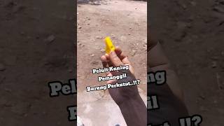 Download lagu Peluit Ini Bisa Bikin Perkutut Datang⁉️😱🤩 |Kholiqperkutut mp3