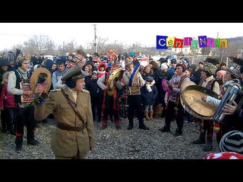 Plugul de la POIANA MARULUI ~ Comuna CEPLENITA - 31 decembrie 2016