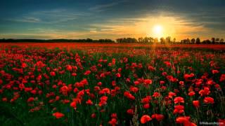 Download lagu Henry Saiz Love Mythology mp3 Download lagu Henry Saiz Love Mythology mp3